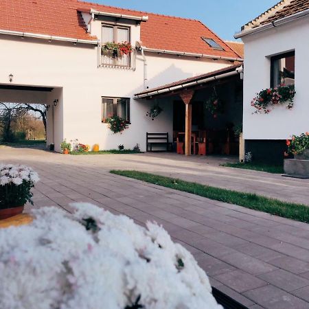 ホテルCasa Badea Riu Alb エクステリア 写真