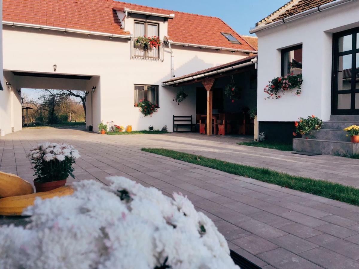 ホテルCasa Badea Riu Alb エクステリア 写真
