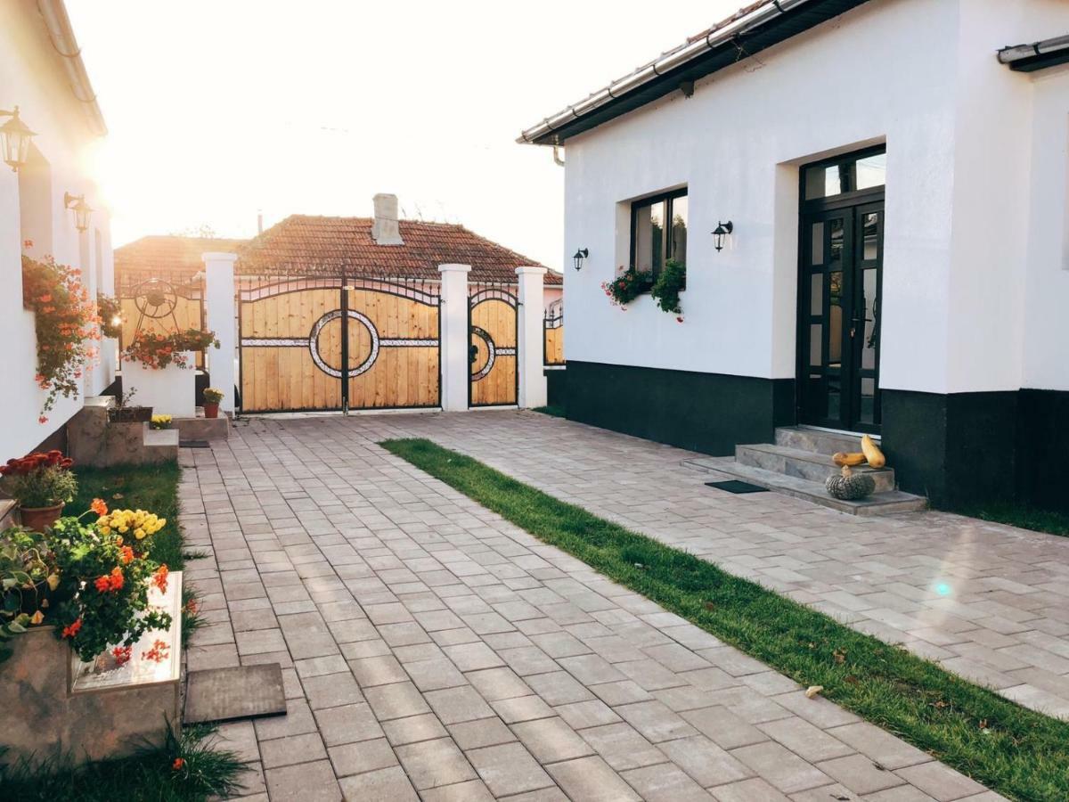 ホテルCasa Badea Riu Alb エクステリア 写真